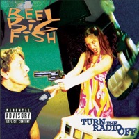 Reel Big Fish - skank for christmas