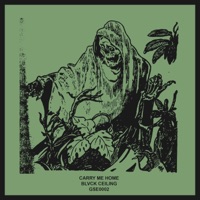 Blvck Ceiling - quick draw