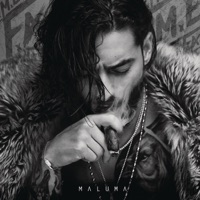 Maluma - hp