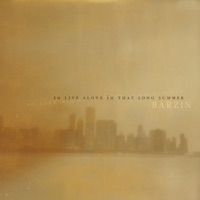 Barzin - sometimes the night...