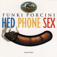 Funki Porcini - purrfect