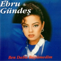 Ebru Gündeş - hayatta basarilar diliyorum