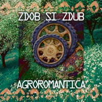 Zdob Si Zdub - смуглянка молдованка