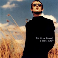 The Divine Comedy - all the pretty lights