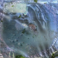 Artesia - lying on the grey foam