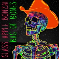 Glass Apple Bonzai - a million foolish hands (12` extended mix)