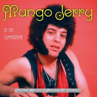 Mungo Jerry - memoirs of a stockbroker