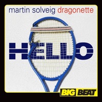 Martin Solveig - hey now