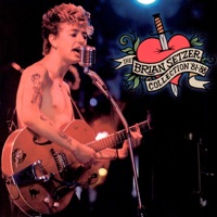 Brian Setzer - a dude'll do (what a dude'll do)