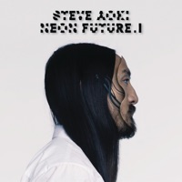 Steve Aoki - beautiful