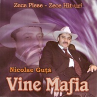 Nicolae Guta - stau printre straini
