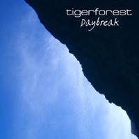 Tigerforest - asylum harbor
