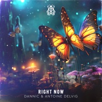 Dannic - rock the rhythm