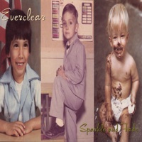 Everclear - i won't back down