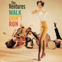 The Ventures - tomorrow's love