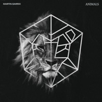 Martin Garrix - animals (shiftfreq rmx)