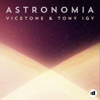 Tony Igy - perfect world (epic version)