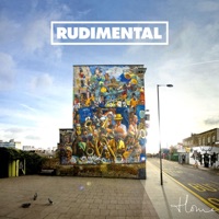 Rudimental - bring me joy (feat. karen harding)