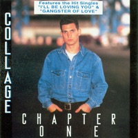 Collage - l'istinto