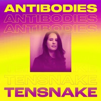 Tensnake - everybody