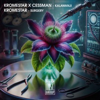 Kromestar - aston martin