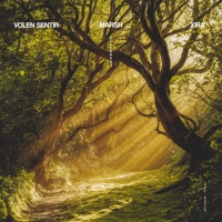 Volen Sentir - manasarovar