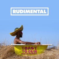 Rudimental - the feeling