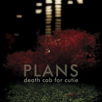 Death Cab for Cutie - punching the flowers