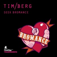 Tim Berg - seek bromance (samuele sartini radio edit)
