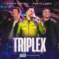 Triplex - ирония судьбы 2005