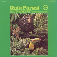 Walter Wanderley - amazonas