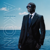 Akon - bananza (belly dancer) (collini moombahton party s
