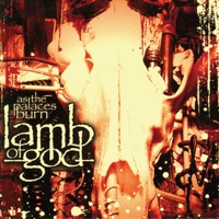 Lamb of God - st. catherine's wheel