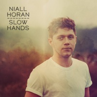 Niall Horan - end of an era