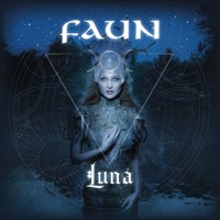 Faun - nacht des nordens