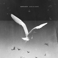 Martin Roth - beautiful life (original mix)