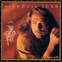 Nicholas Gunn - here i am (feat. alina renae) [richard durand remix]