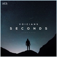 Voicians - above the sky