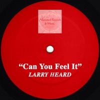 Larry Heard - genesis