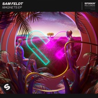 Sam Feldt - lost in desire