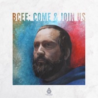 BCee - broken record