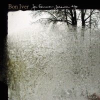 Bon Iver - rosyln