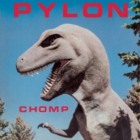 Pylon - south of heaven (slayer cover)