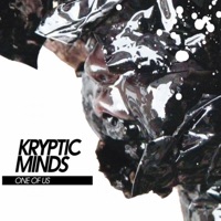 Kryptic Minds - no more no less