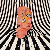 Cage the Elephant - beaches in tennessee