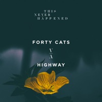 Forty Cats - nocturne (kyotto remix)