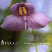 DJ Cam - wake up