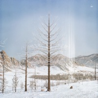 Ryan Davis - altitudes