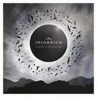 Insomnium - ﻿gleam in the black