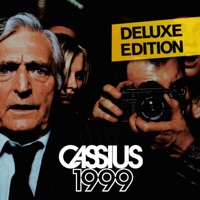 Cassius - feeling for you (shee rmx)